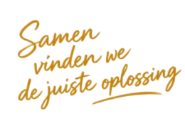 Gouden script lettertype: Samen vinden we juiste oplossing, motiverende tekst.